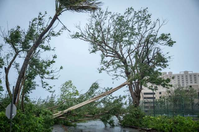 A road blocked by fallen trees and debris after a storm, with a building visible in the background.
