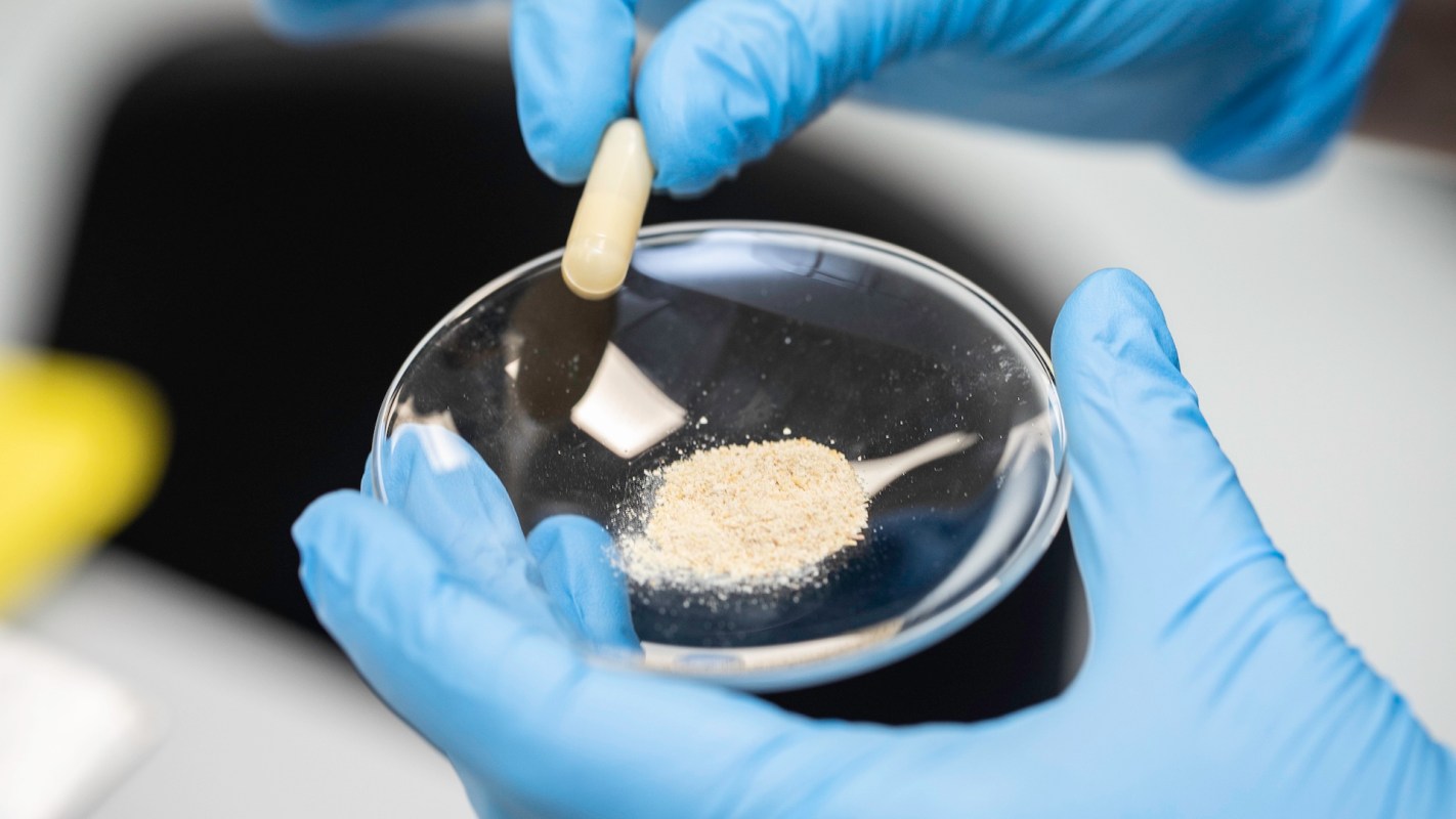 A gloved hand holding a petri dish.