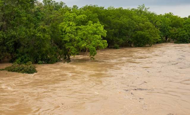 Floodwaters wash over a riverbank surrounded by lush green trees under overcast skies.