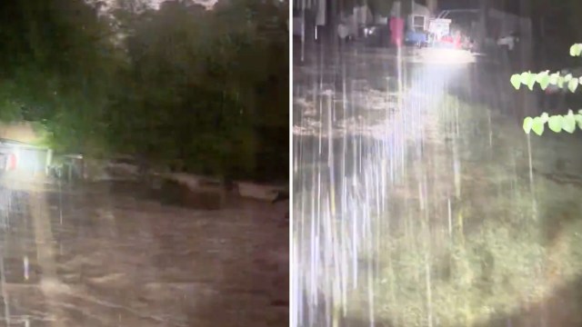 A scene showing heavy rainfall and flooded areas with trees and structures partially submerged in water.