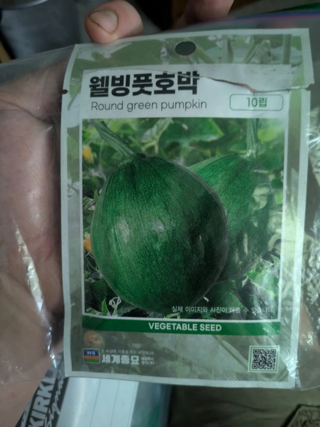A packet of round green pumpkin seed. 