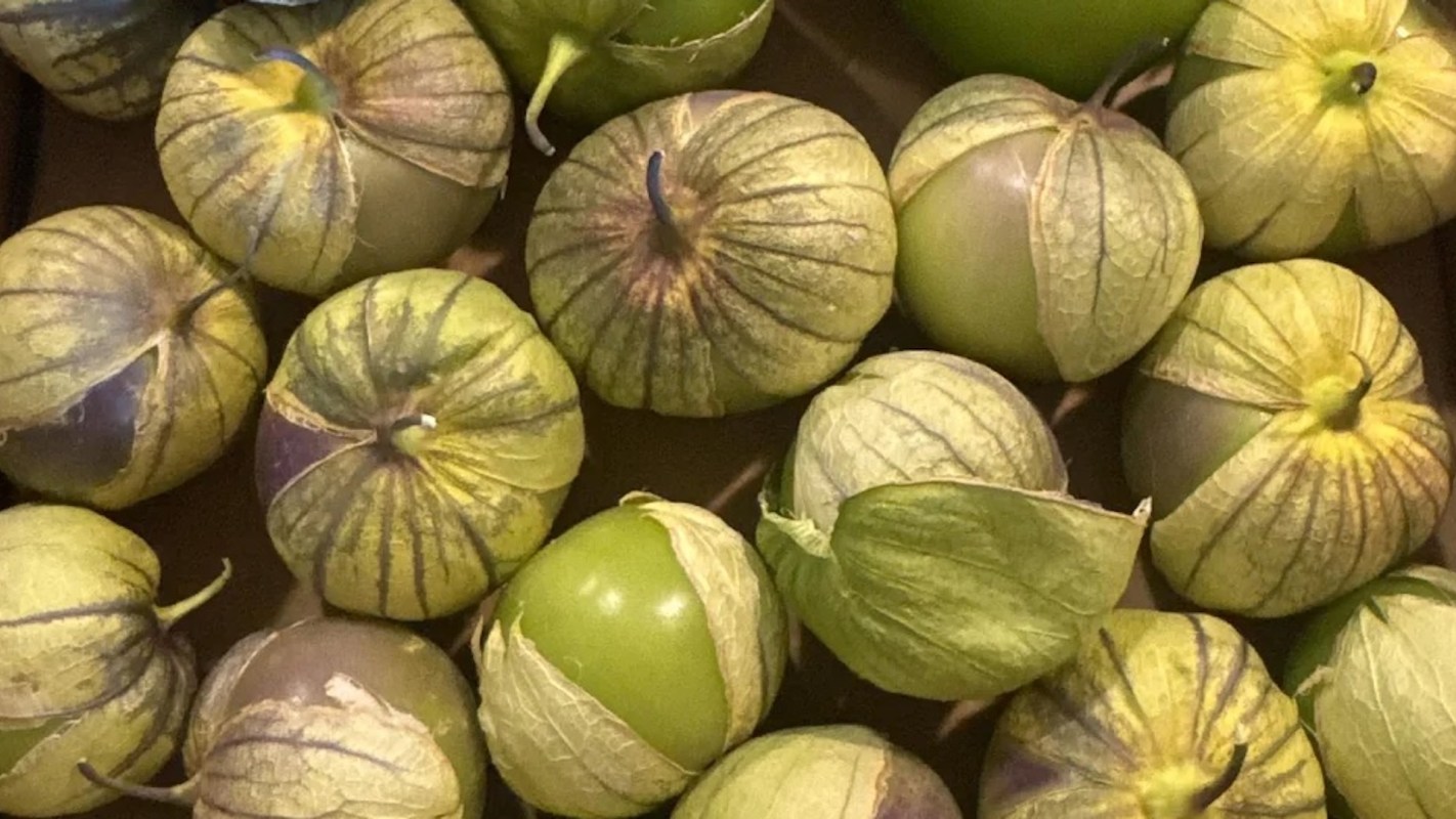 Green and purple tomatillos.