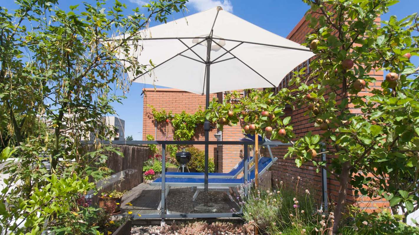 A rooftop garden.