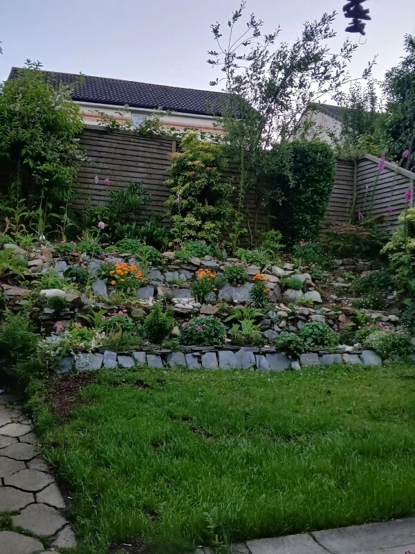 An updated photo of the garden showing rows of plant beds installed in place of part of the lawn.