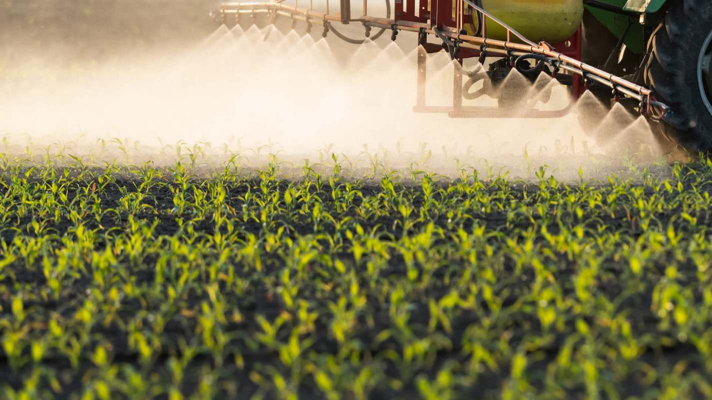 A tractor spraying crops in a field.