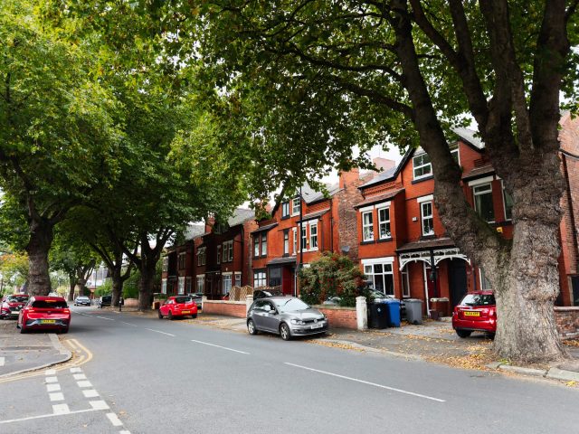 A quiet street lined with red brick houses and leafy trees, featuring parked cars and autumn leaves on the ground.