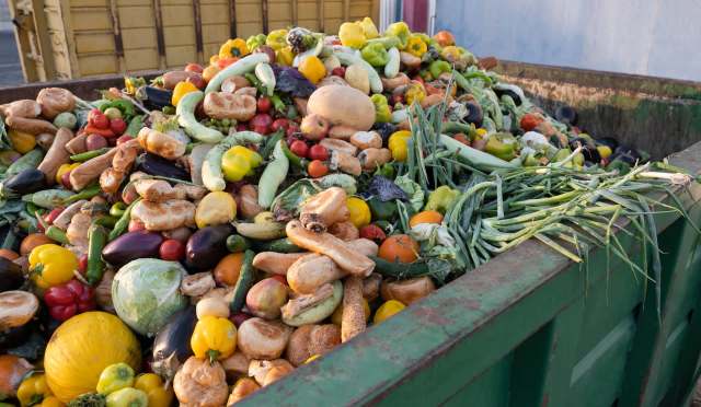 A dumpster filled with fresh produce.