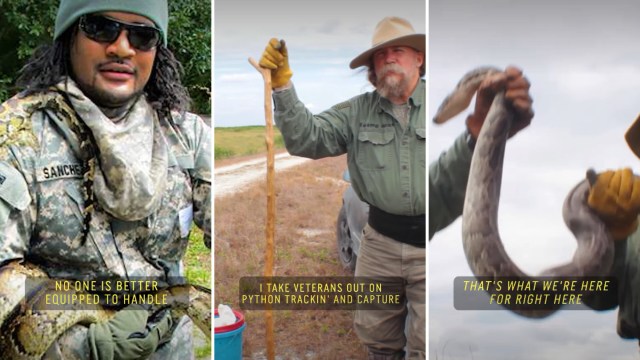 A veteran-led team hunting Burmese pythons.