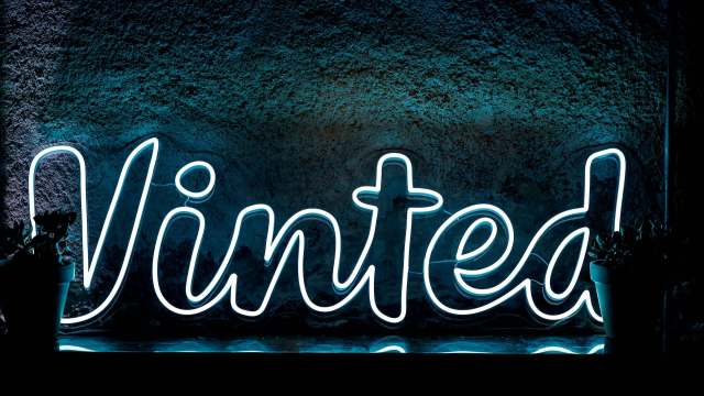 A neon sign reading "Vinted" against a textured blue wall, with a small potted plant visible in the foreground.