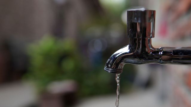Water coming out of an outdoor faucet.