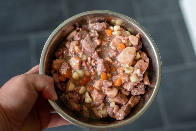 A bowl of wet dog food.