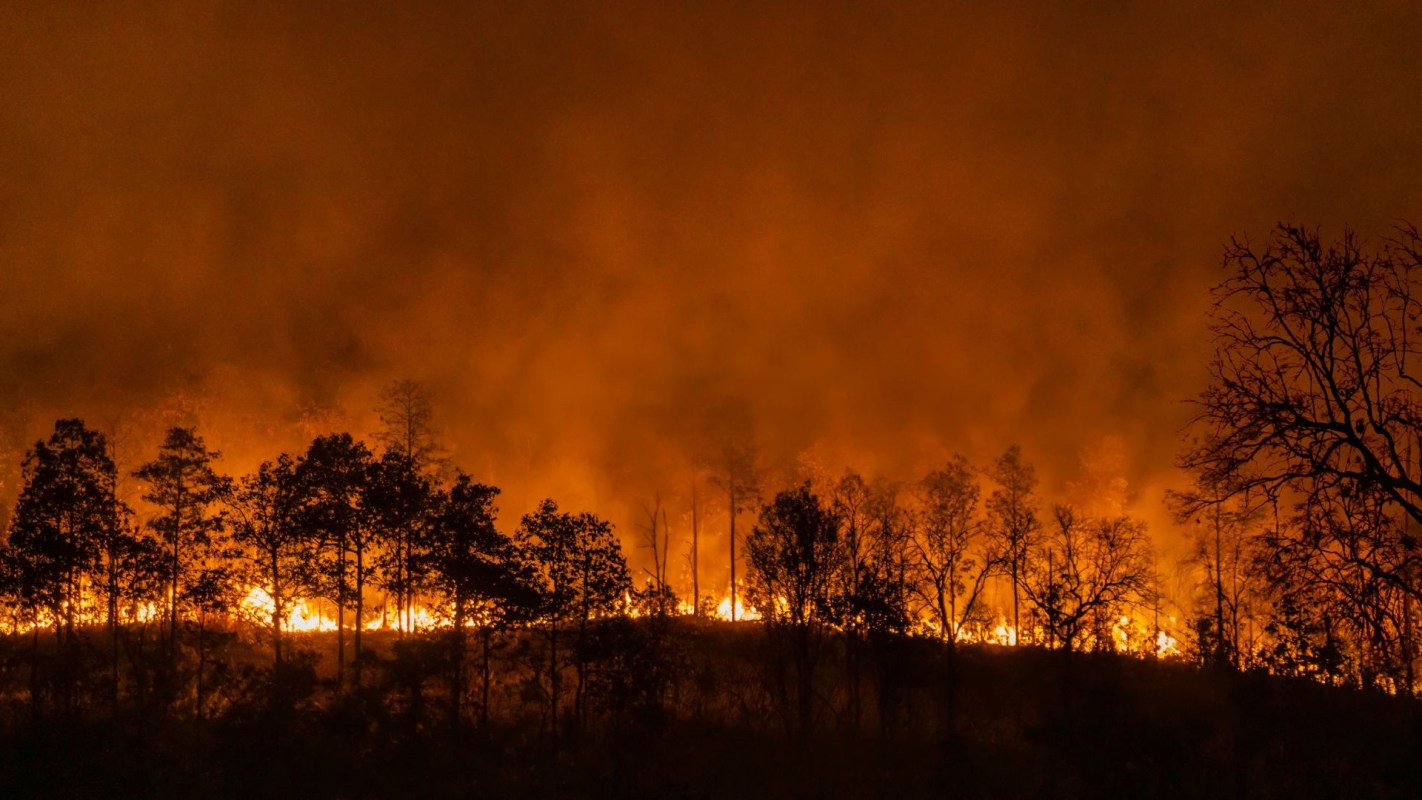 A wildfire.