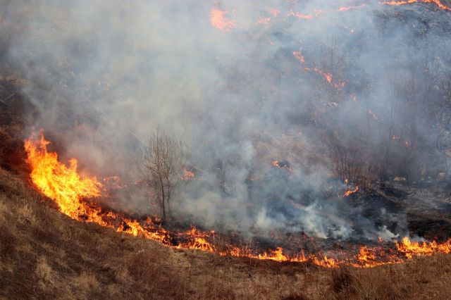 A wildfire.