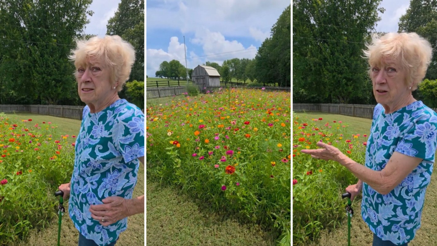 A person near a pollinator garden.