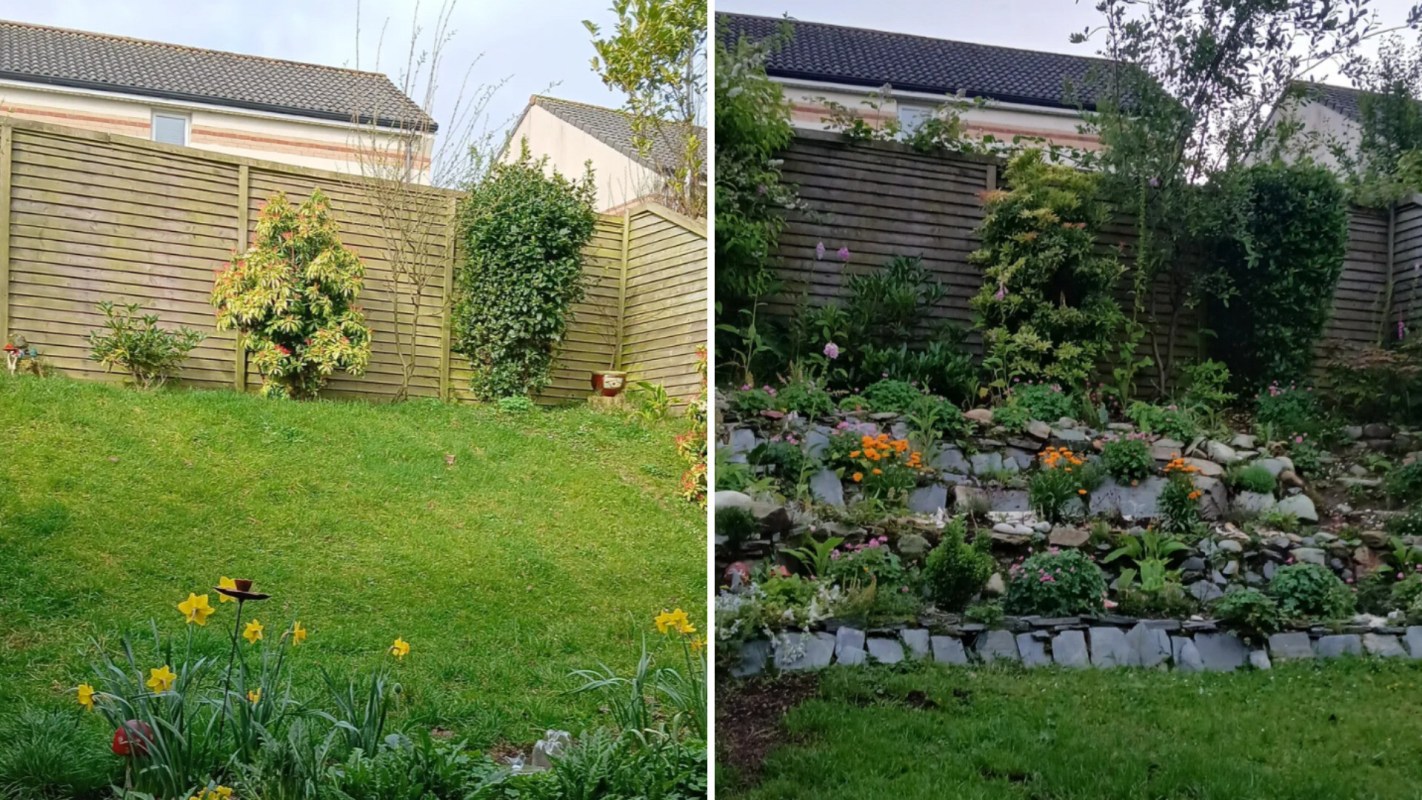 A before-and-after view of a garden, showing a grassy area and a landscaped flower bed with various plants.