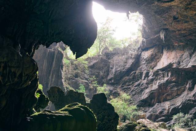 Sunlight streaming into a cave with vegetation.