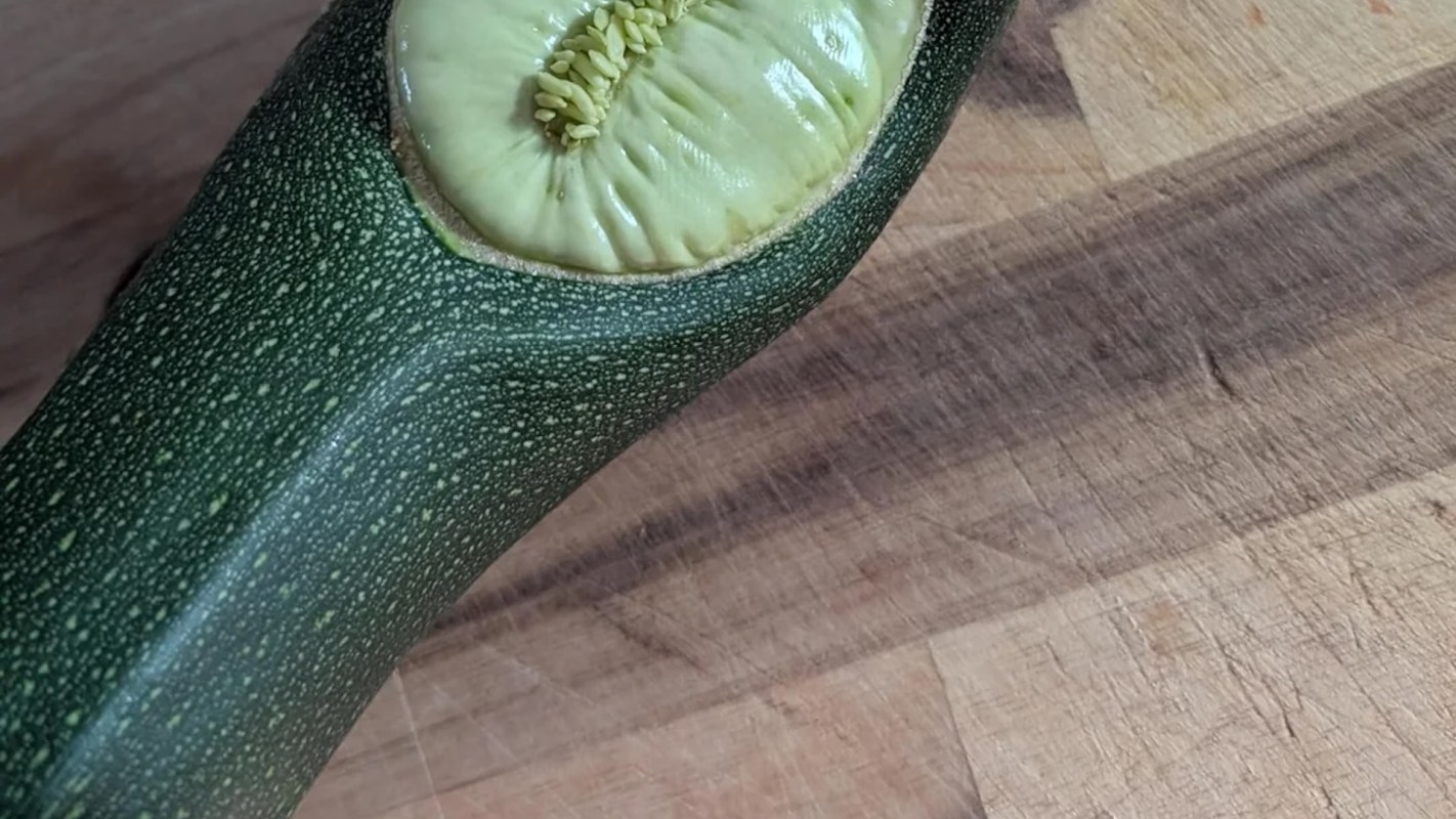 A close-up of a sliced zucchini revealing its pale interior and seeds on a wooden cutting board.