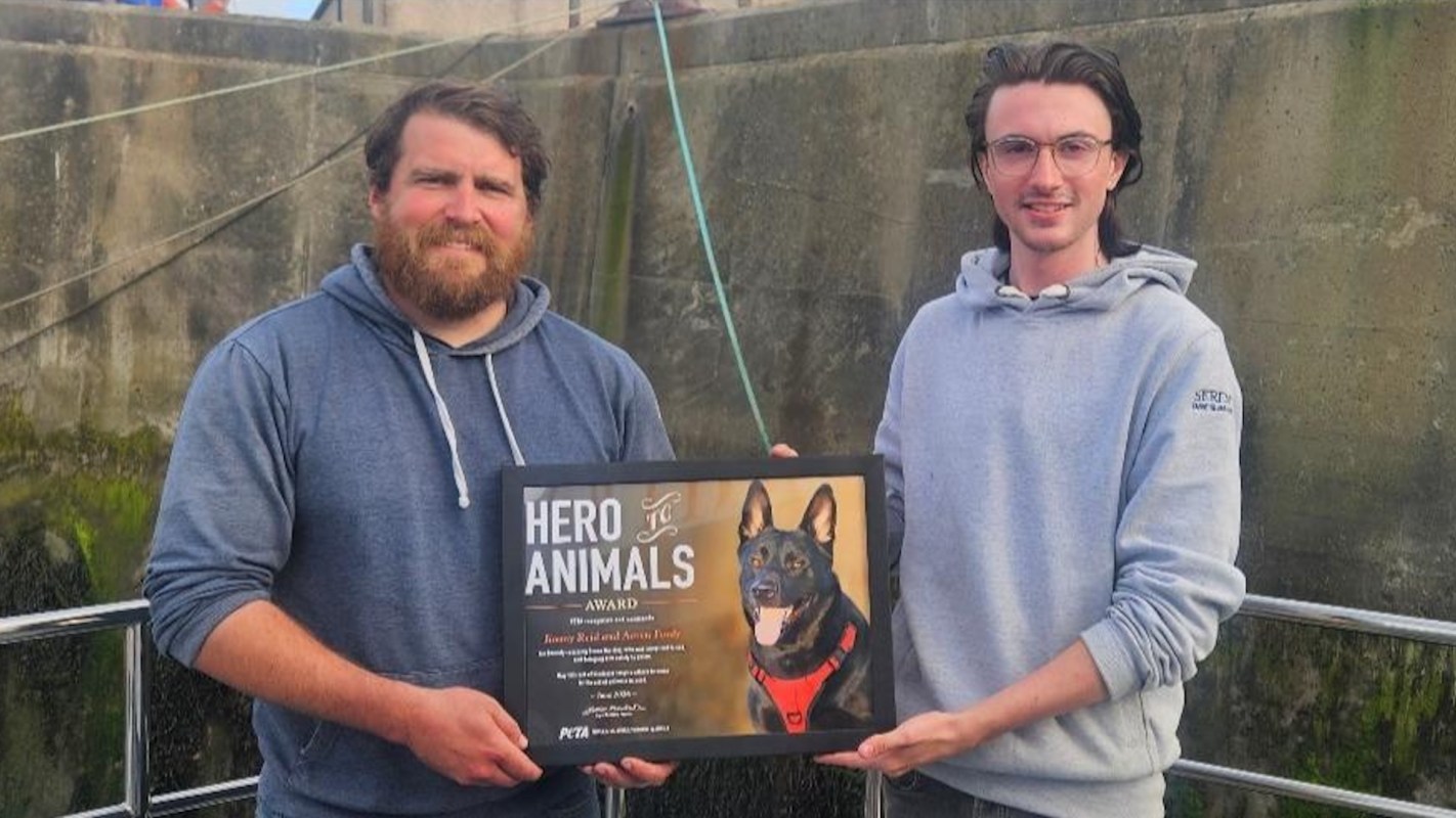 Two men hold a plaque that reads "Hero Animals Award" while standing by a textured wall.