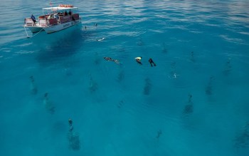 A boat floats on clear blue water with several people snorkeling nearby around vertical columns of coral reef.
