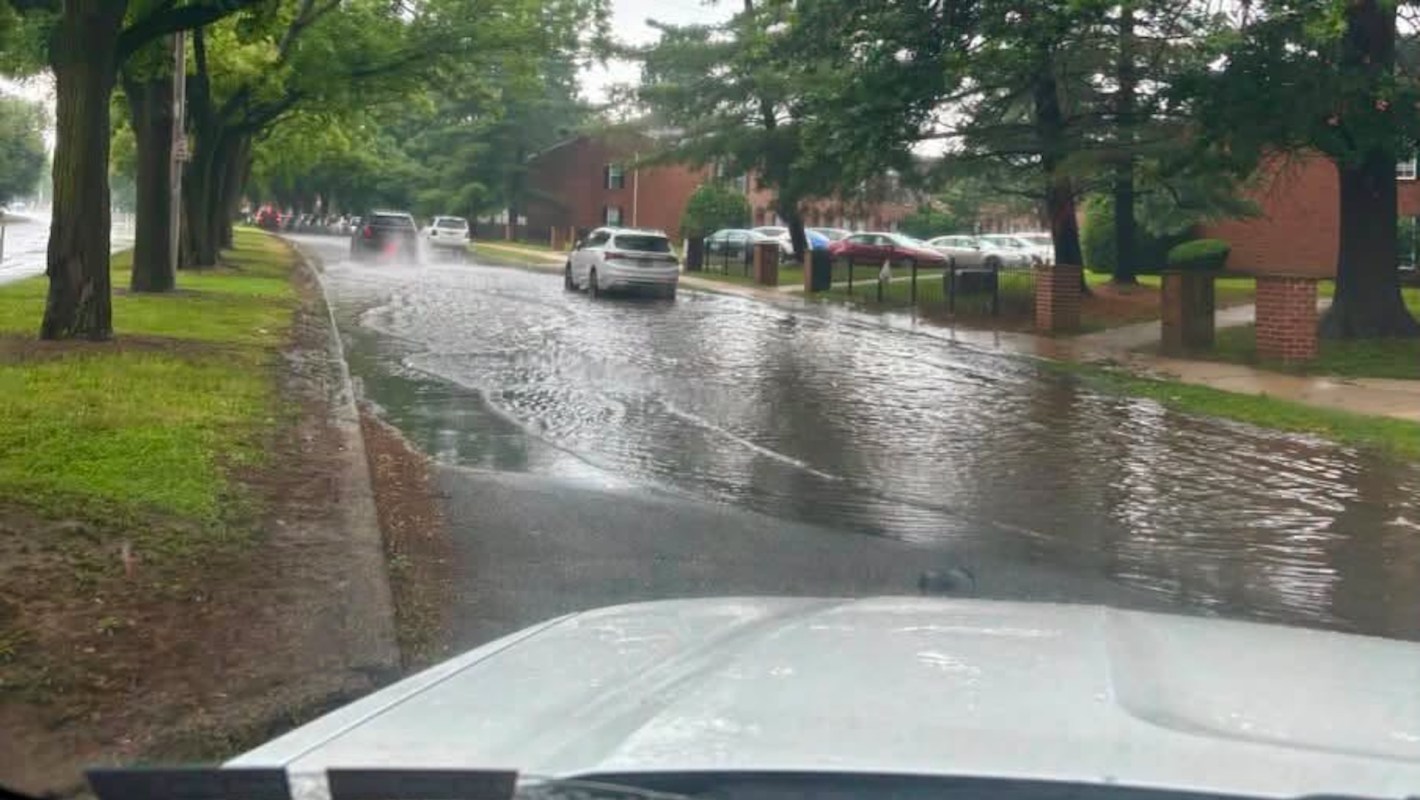 A street partially flooded with water, flanked by trees and parked cars.