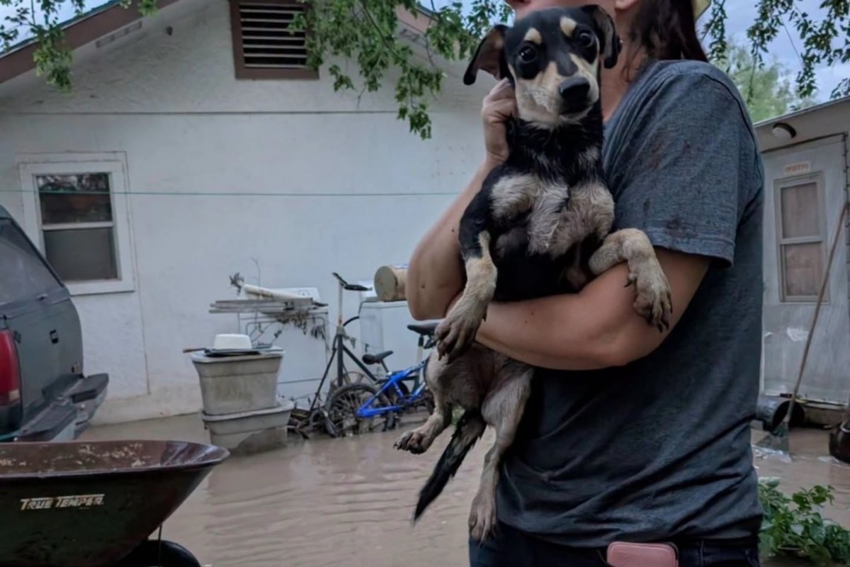 A person holds a small dog in an area affected by flooding, with water visible in the background.