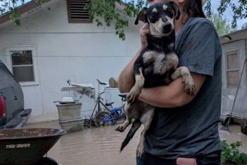 A person holds a small dog in an area affected by flooding, with water visible in the background.