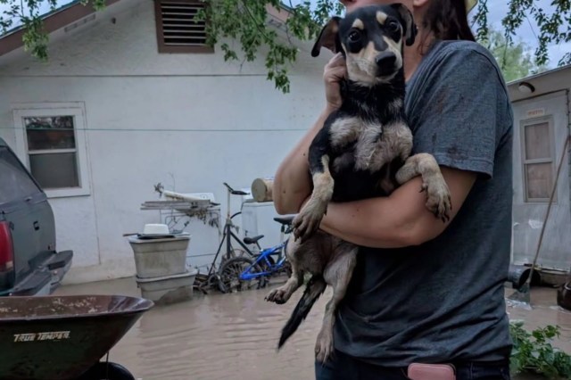 A person holds a small dog in an area affected by flooding, with water visible in the background.