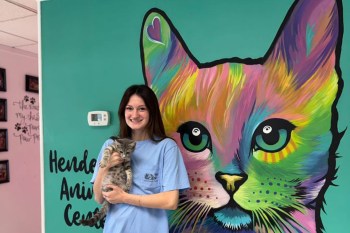 A person holding a kitten in front of a cat mural.