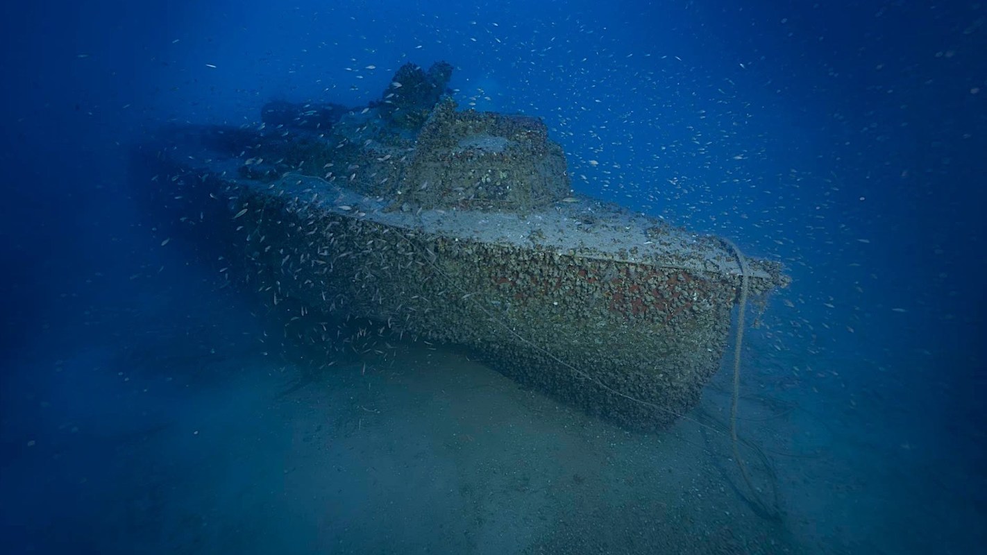 A sunken ship covered in marine life, surrounded by schools of fish in an underwater scene.