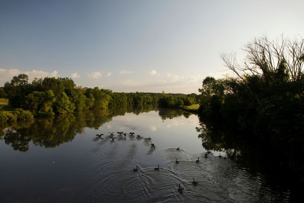 The Anacostia River.