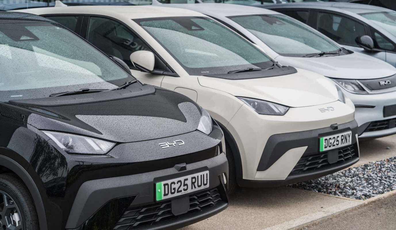 A row of BYD electric vehicles.