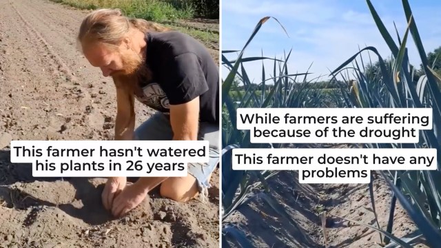 A farmer cultivates plants in dry soil without watering them for 26 years.