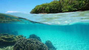 Underwater view showing coral formations and clear turquoise water with an island and palm trees in the background.