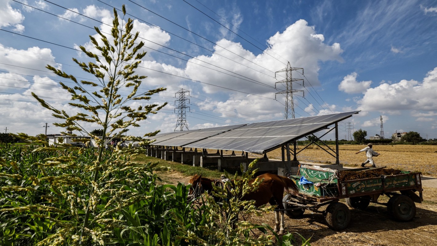 Solar panels in an agricultural area.