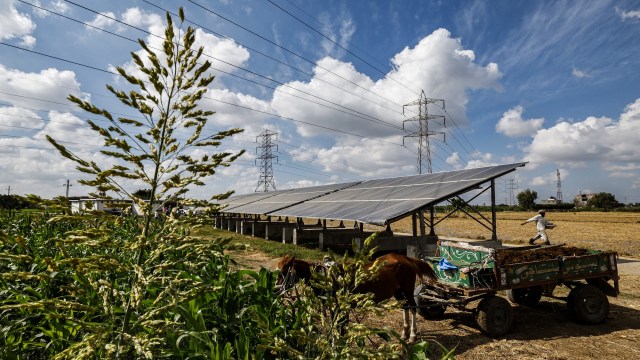 Solar panels in an agricultural area.