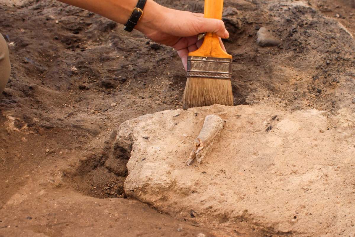An archaeologist digging at a site.