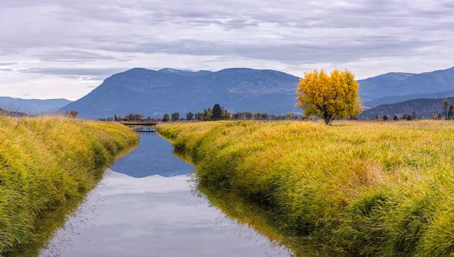 A canal surrounded by tall grass.