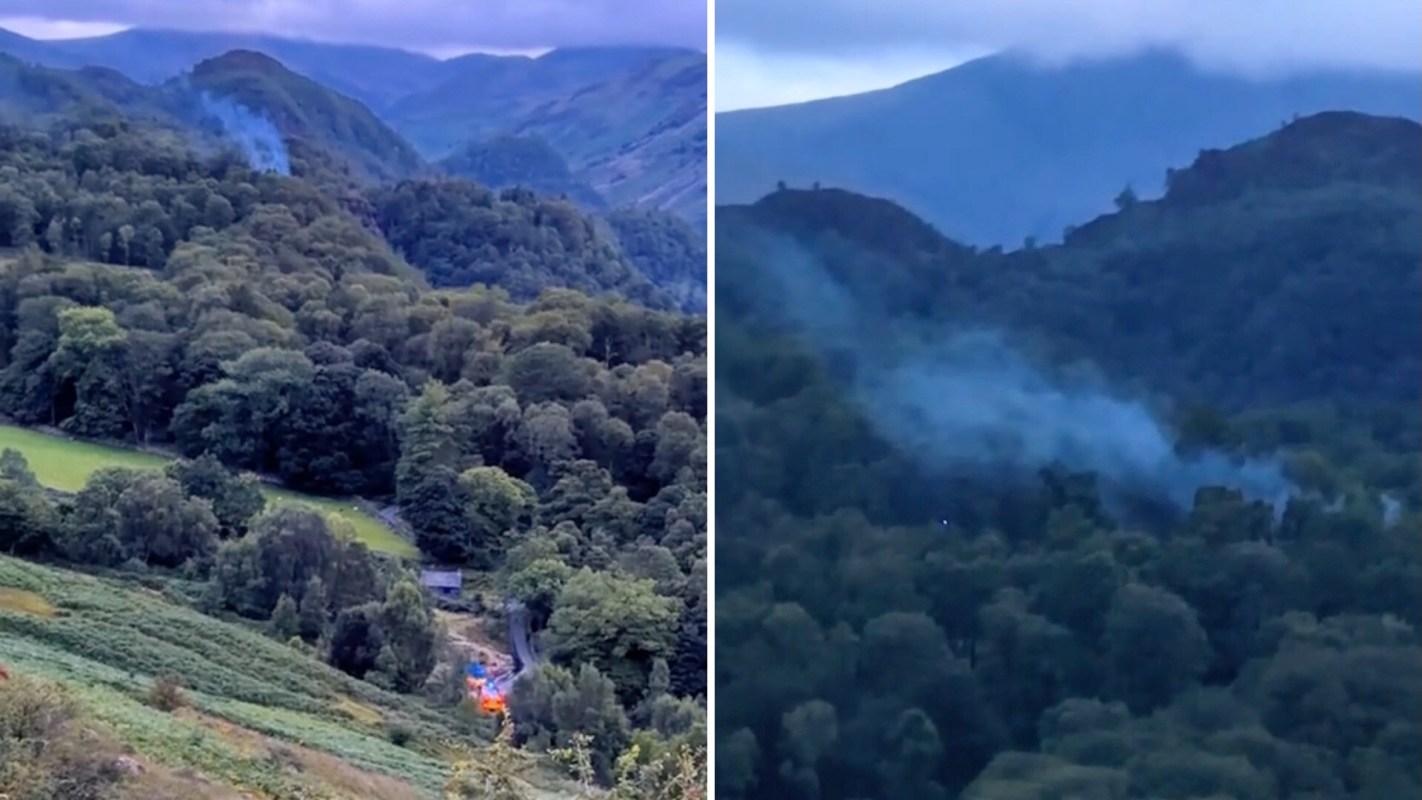 Smoke rising from a forest.