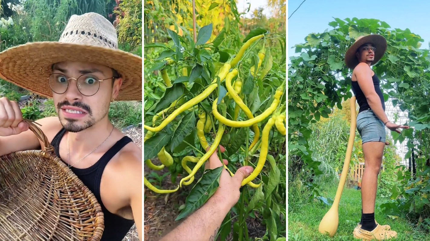 A gardener harvesting plants.
