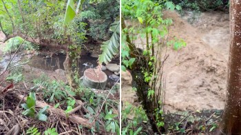 A stream surging into violent runoff.
