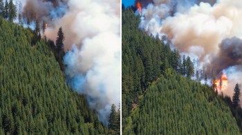 A forest fire burns on a hillside, with smoke billowing into the sky among the trees.