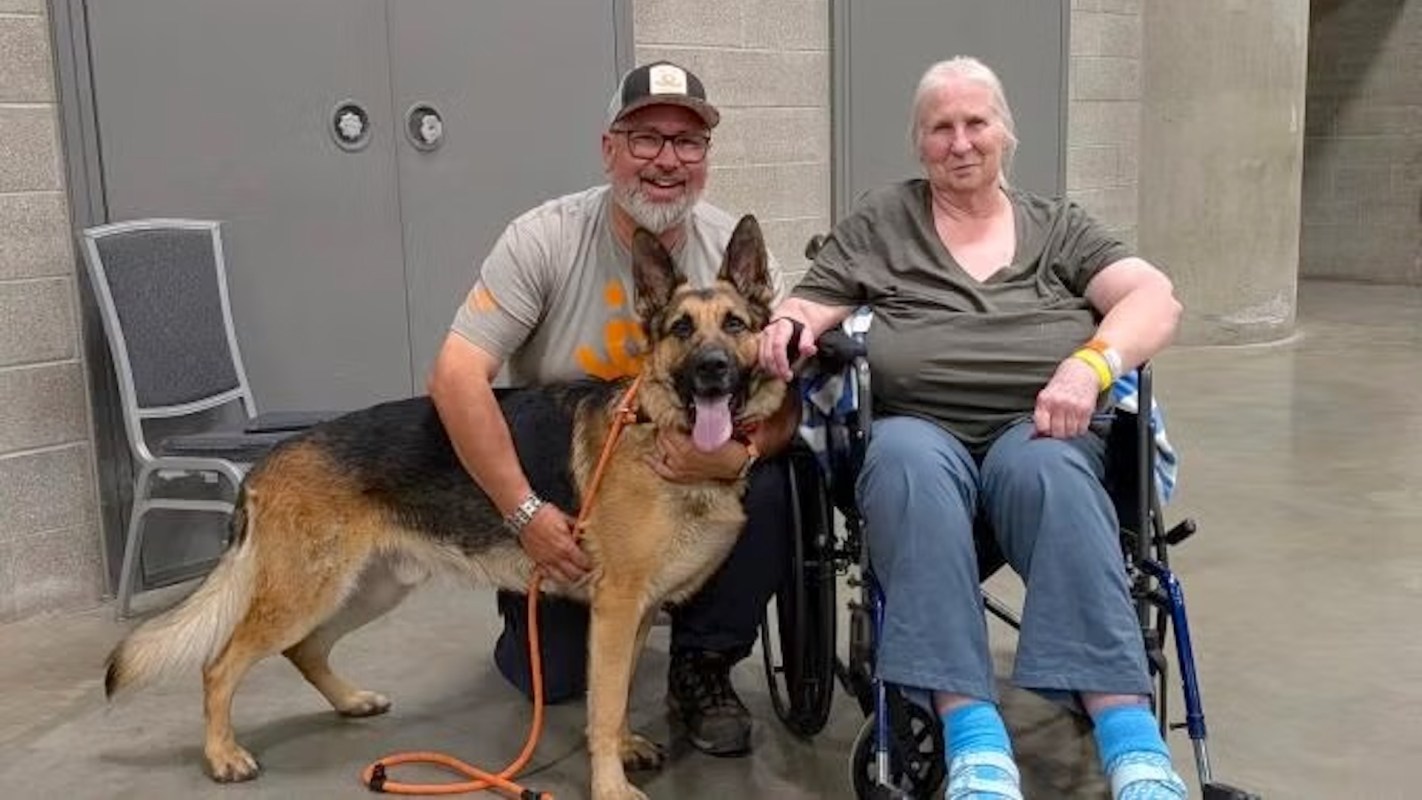 A man kneels next to a German Shepherd and a woman in a wheelchair.