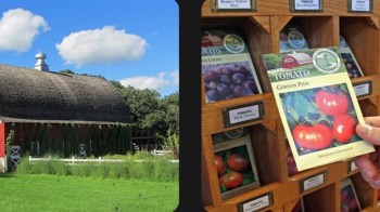 A barn and tomato seeds.