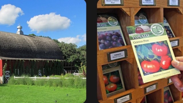 A barn and tomato seeds.