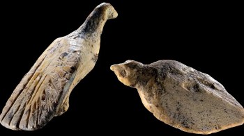 Two abstract bird-shaped sculptures made of stone, displayed against a black background.