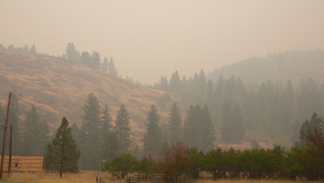 A hazy landscape with trees and a hillside under smoky conditions.