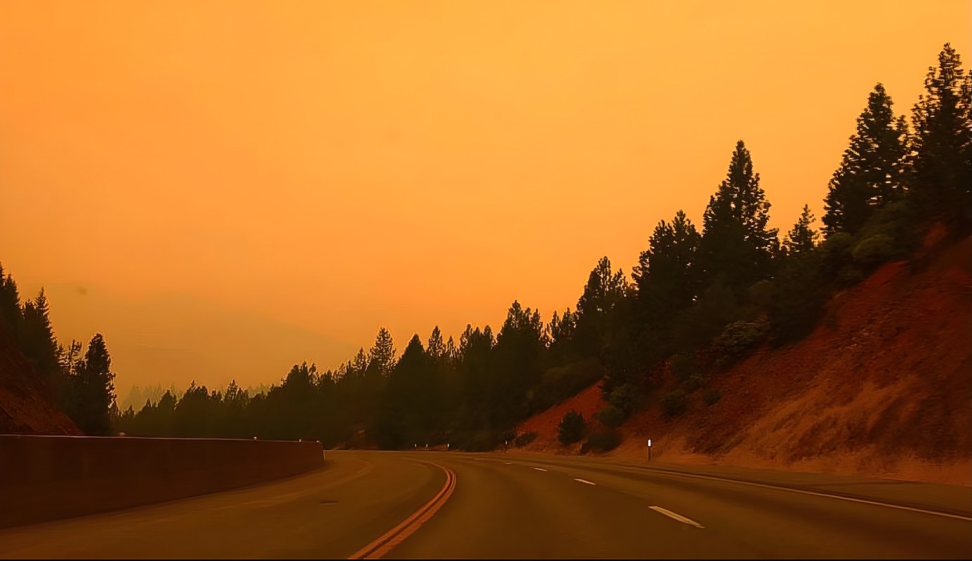 A winding road surrounded by trees under an orange sky.
