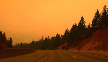 A winding road surrounded by trees under an orange sky.