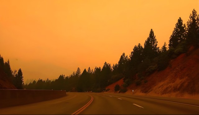 A winding road surrounded by trees under an orange sky.