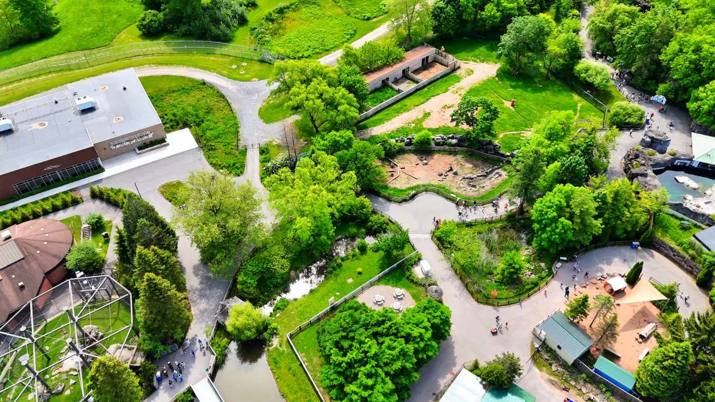 An aerial view of a landscaped park featuring pathways, greenery, animal enclosures, and visitors walking.